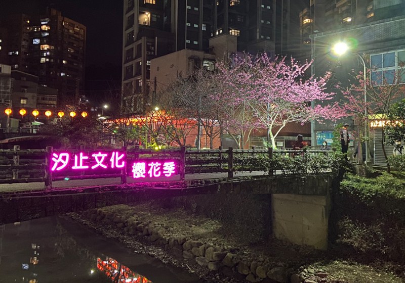 戶外展覽｜汐止文化櫻花季