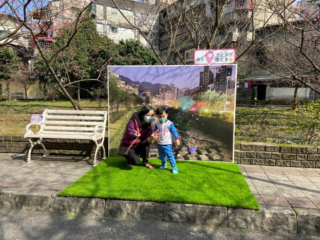 戶外展覽 汐止櫻花季