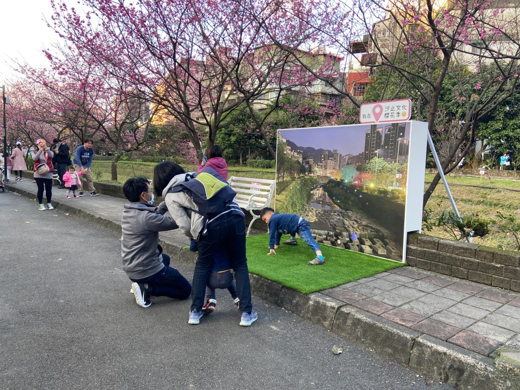 戶外展覽 汐止櫻花季