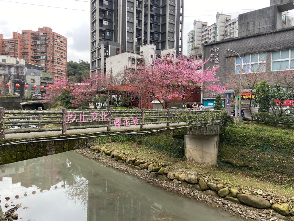 戶外展覽 汐止櫻花季進場完工