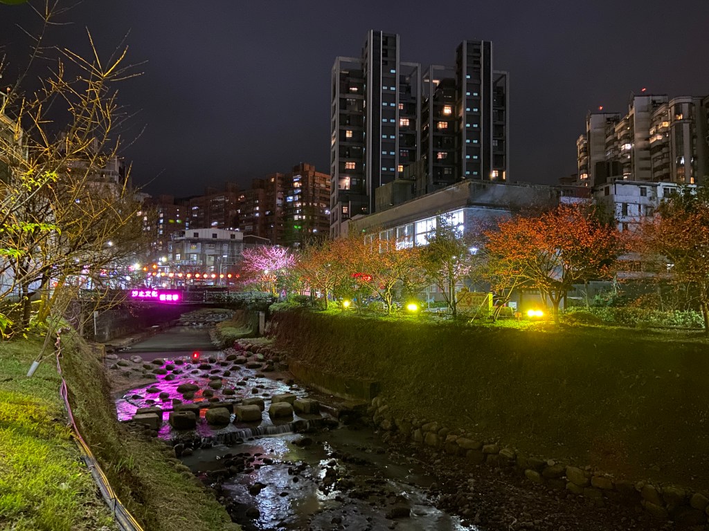 戶外展覽 汐止櫻花季進場完工