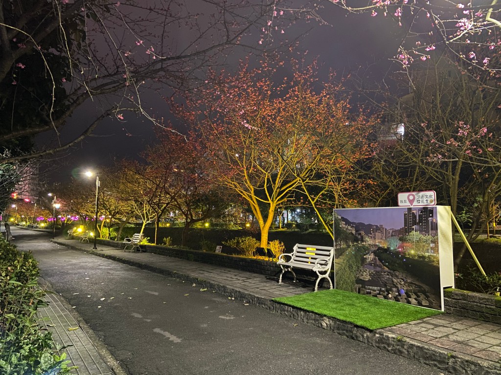 戶外展覽 汐止櫻花季進場完工