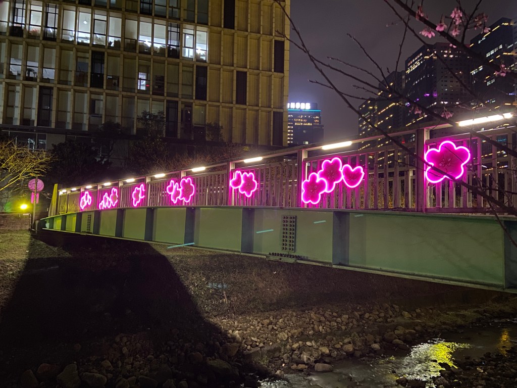 戶外展覽 汐止櫻花季進場完工 夜間照