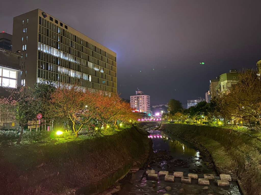 戶外展覽 汐止櫻花季進場完工 夜間照