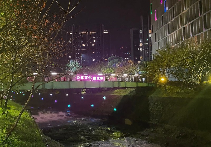 戶外展覽｜2022汐止文化櫻花季