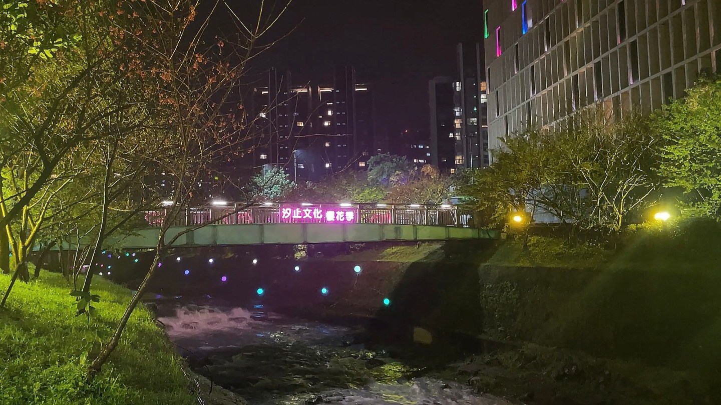 戶外展覽｜2022汐止文化櫻花季