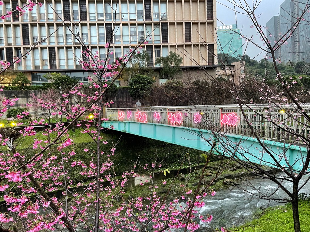 來做設計 戶外展覽 汐止櫻花季