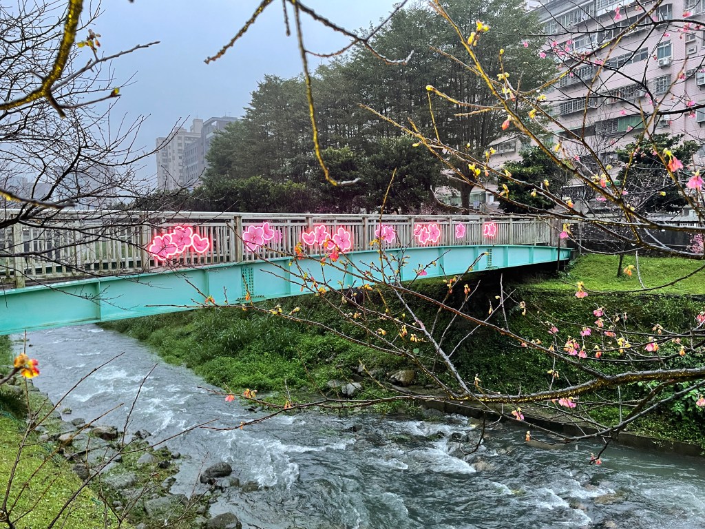 來做設計 戶外展覽 汐止櫻花季