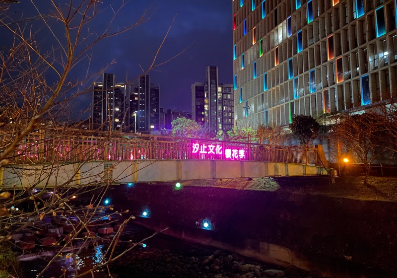 戶外展覽｜2023汐止文化櫻花季