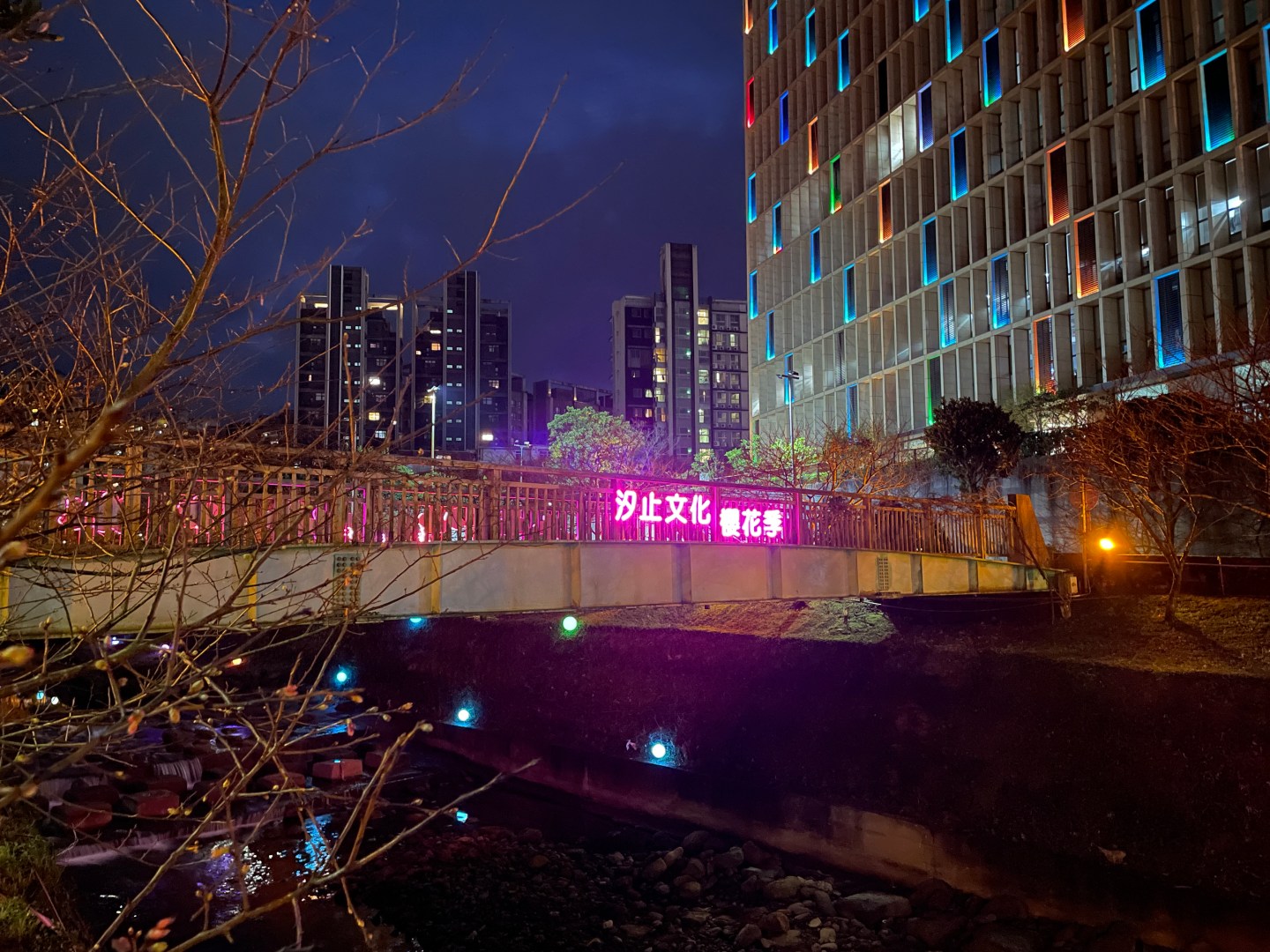 戶外展覽｜2023汐止文化櫻花季