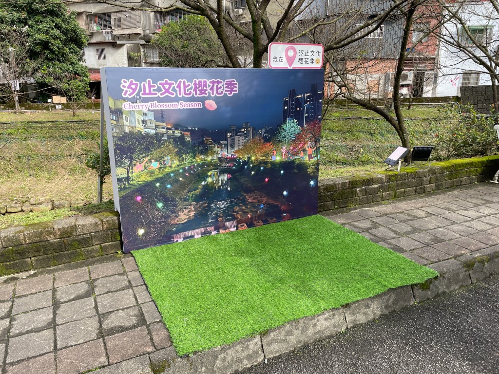 戶外展覽 汐止櫻花季