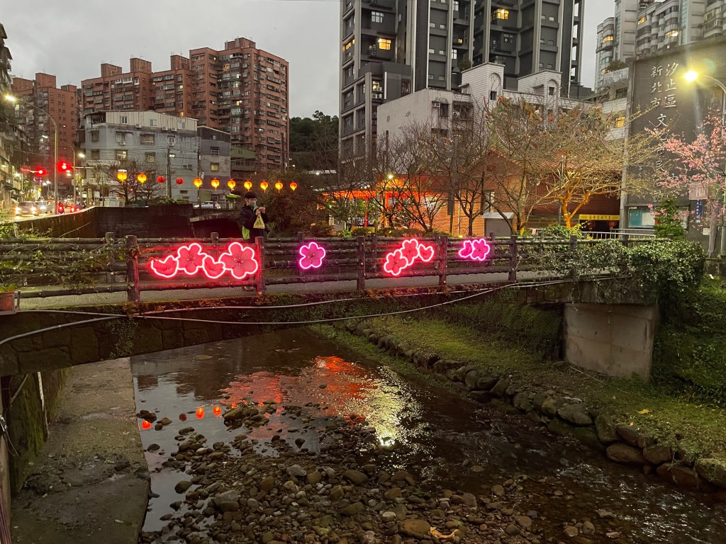 戶外展覽 汐止櫻花季