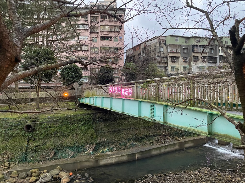 戶外展覽 汐止櫻花季