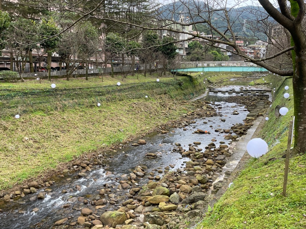 戶外展覽 汐止櫻花季