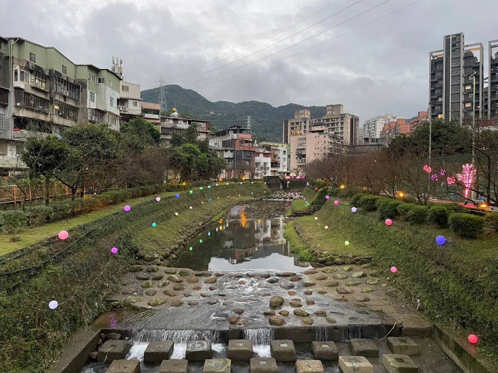 戶外展覽 汐止櫻花季