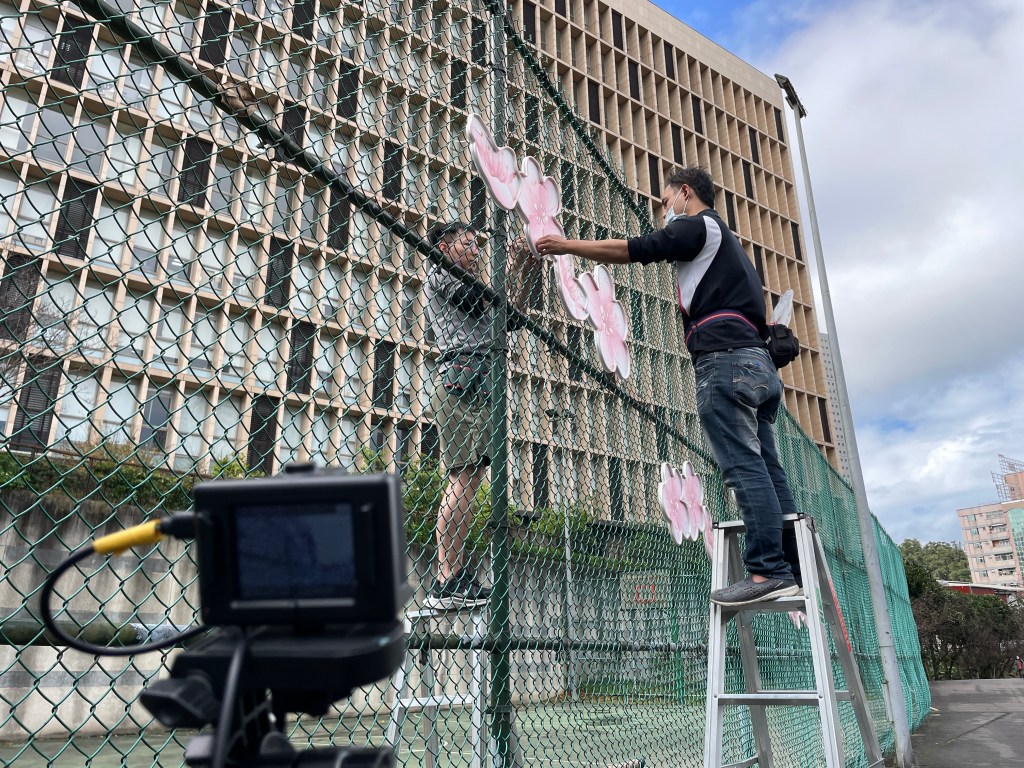 戶外展覽 汐止櫻花季進場Day 2