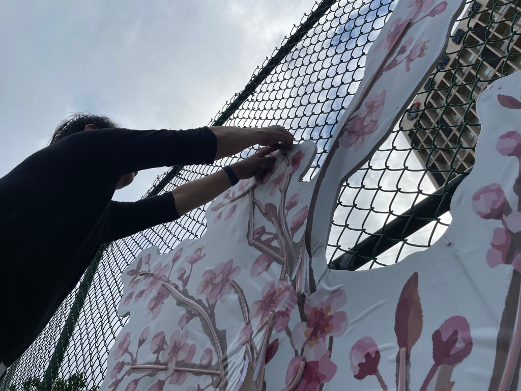 戶外展覽 汐止櫻花季進場Day 2