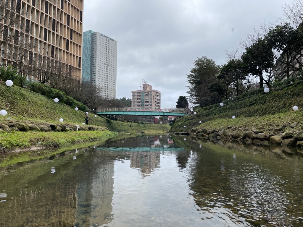 戶外展覽 汐止櫻花季進場Day 2 球燈進場